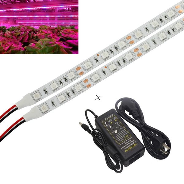 Striscia LED impermeabile da 5 m/16,4 piedi 5050 che cresce luce rossa blu 4:1 per piante da serra per acquari, fiori da giardino
