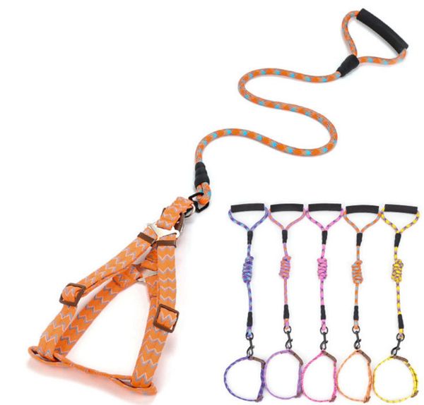 Acheter Classique Pas Cher Chien Laissehcollar Bonne Qualité Chien De Mode Corde Laisse De Formation Pour Petit Grand Animaux 5 Couleur 4 Taille De