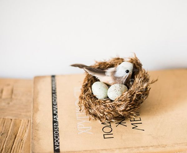 

натуральные перья птиц коричневый птичье гнездо, дом, природа ремесла украшения праздника