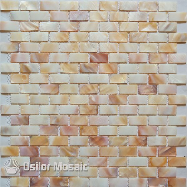 2020 100 Chinese Freshwater Shell Mother Of Pearl Mosaic Tile For