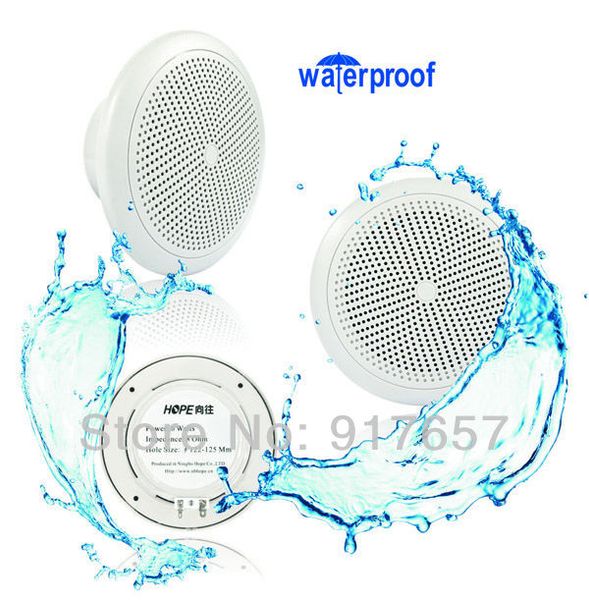 2019 Wholesale Home Audio Loudspeaker Waterproof In Ceiling Speaker 4ohm 5 25 Inches Stereo Ceiling Speaker Bathroom Kitchen Audio Speaker 700 From