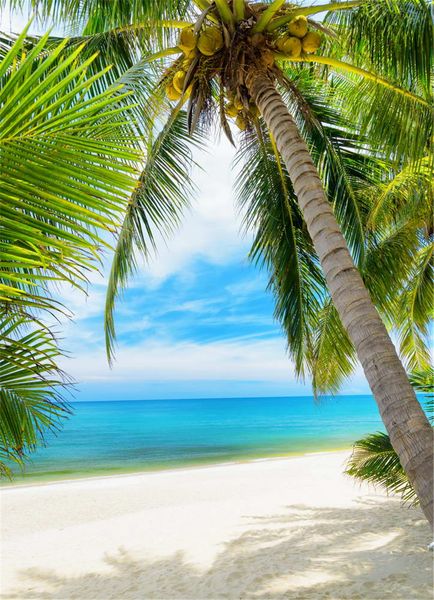 Wunderschöne Landschaft, Strand-Themen-Hintergrund, Fotografie, Palme, Wolke, blauer Himmel, digitale Sommerferien-Hochzeitshintergründe für Fotostudio