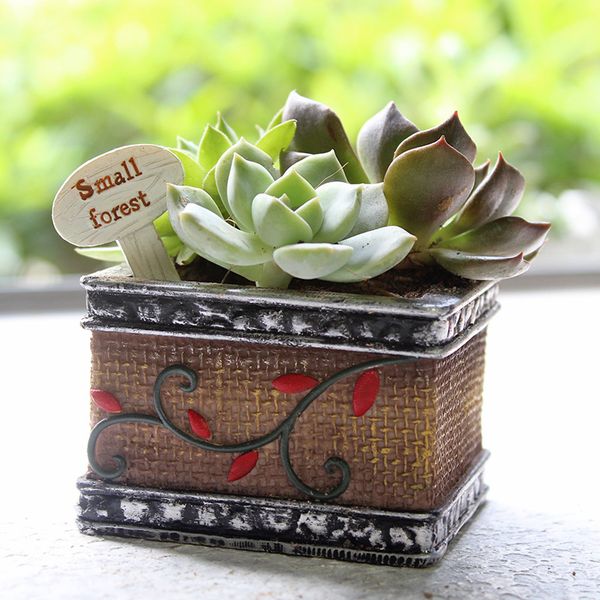 

новый дизайн цветочный горшок мультфильм подарки коробка kawaii zakka мини plam суккуленты плантатор цветочный горшок сад украшения дома