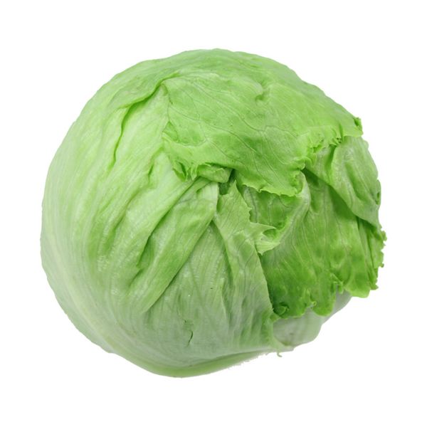 

Lettuce Ball Vegetable 500 Seeds Easy-growing Hardy Non-GMO Vegetables for Salad Iceberg lettuce Nutritious High Germination