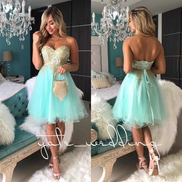 

mint green tulle short homecoming dresses vintage sweetheart gold appliques corset lace up pink prom dresses backless party dresses, Blue;pink
