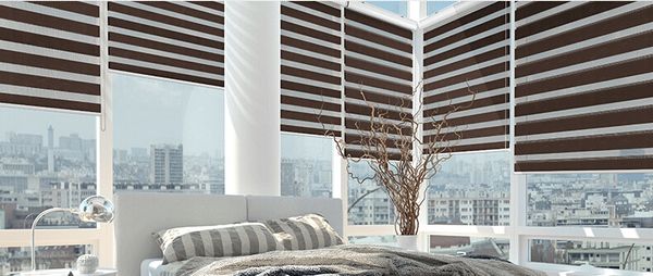 

sun shading day and night zebra blind