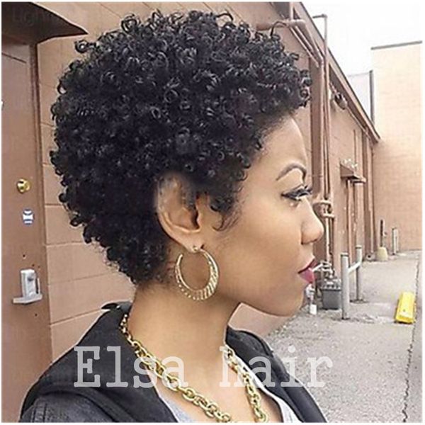 Celebrity Human Hair Wigs Tight Afro Kinky Curly Malayisan Hair
