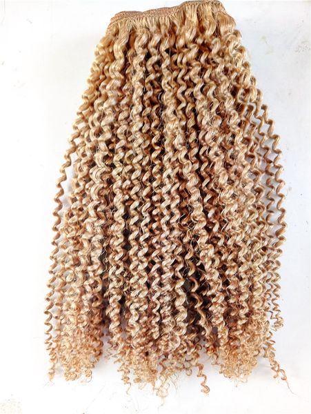 

brazilian kinky curly human virgin remy hair bundles weft hair extensions dark blonde brown color, Black