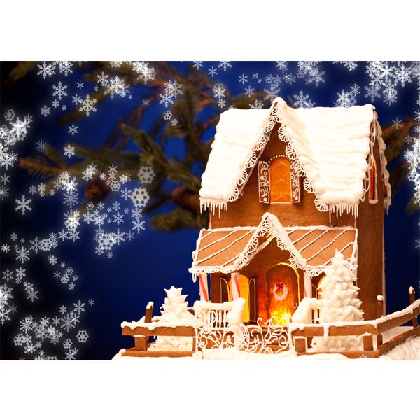 Sfondo di cielo blu scuro che cade fiocchi di neve fotografia stampata casa coperta di neve alberi di pino bambino bambini festa di Natale sfondo