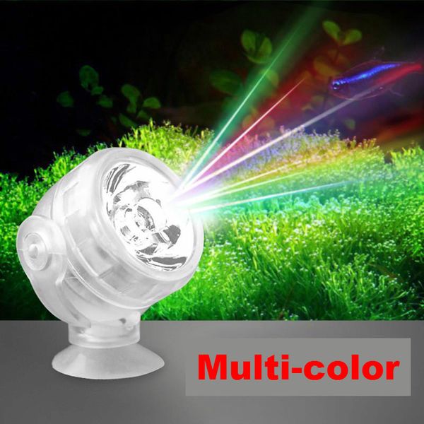 lighting for fish tanks
