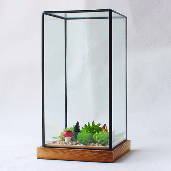 

miniature glass terrarium geometric diamond deskgarden planter for indoor gardening home decor vases with wooden pedestal f