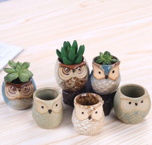 2019 Cartoon Owl Shaped Flower Pot For Succulents Fleshy Plants