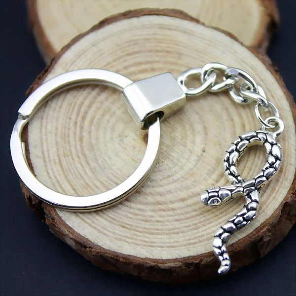 

6 pieces key chain women key rings for car keychains with charms snake 34x11mm, Slivery;golden