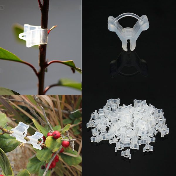 

grafting clips100pcs/lot transparent durable high grade plastic for garden vegetable flower vine bushes plant grafting tracking