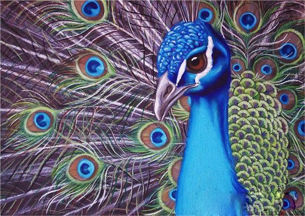 

diy diamond painting cross stitch kit rhinestone mosaic home decoration animal peacock painting full square diamond embroidery zxh1461