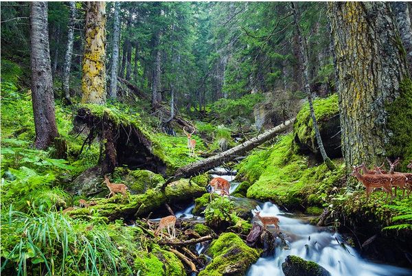 

кирпич обои 3d красивый водопад воды лось d пол трехмерная живопись пвх обои для пола