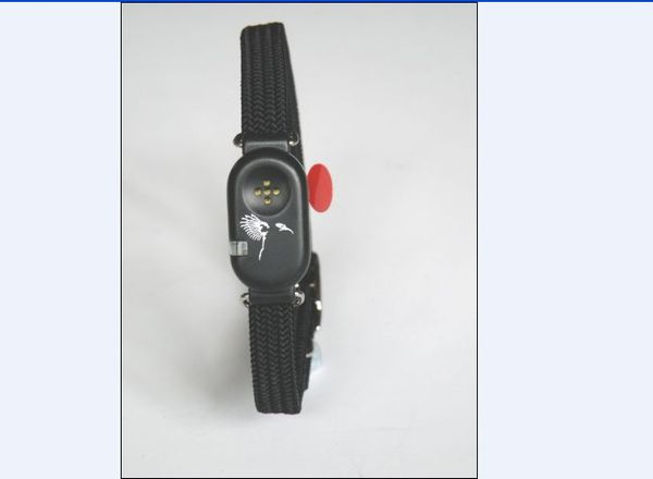 

liberator cat collar with save birds lives.your pet's friend.from moment the attack is initiated the alarm is activated