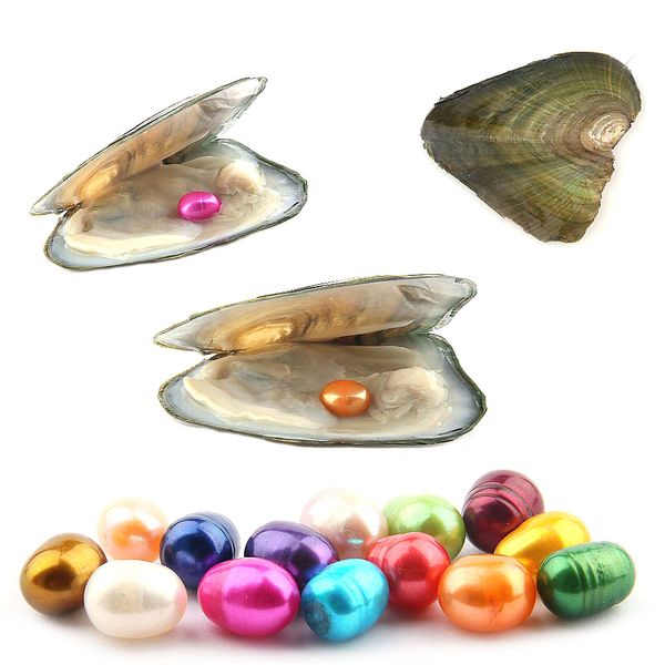 

Oval oy ter pearl 6 7mm mix 15 color fre h water natural pearl gift diy loo e decoration vacuum packaging whole ale pearl oy ter
