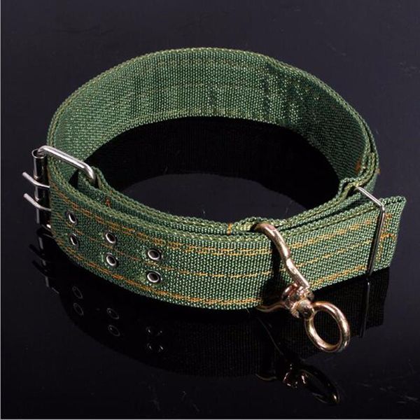 Exército verde lona animal de estimação cão colarinho pescoço de pescoço ajustável cão cinta gola para médio grande cão dourado goode gado colarinho