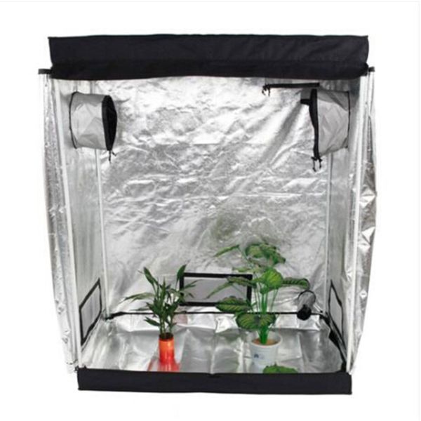 

wholesales 120 x 60 x 150cm home use dismountable hydroponic plant growing tent with window greenhouse plants in an eco-friendly way
