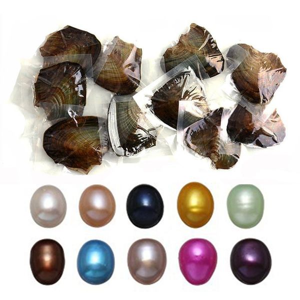 

Смешайте 11 цветов 6-7 мм Овальный Oyster Pearl в Oyster с вакуумной упаковкой для свадьбы Де