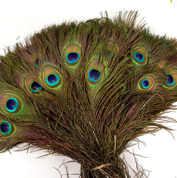 Pure Natural Peacock Feathers Import Peacock Feather Tail Wedding