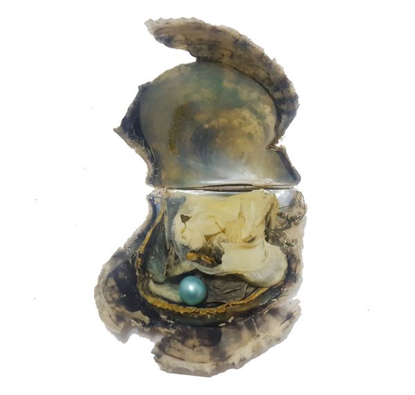 

wholesale single 6-7 mm round freshwater pearls in akoya saltwater oyster mix color for live party dhl ing, White