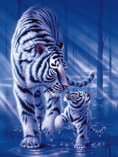 

diy алмаз живопи вивки кѬеом комплек гоѬнй Ѭђал полнй квадѬанй алм