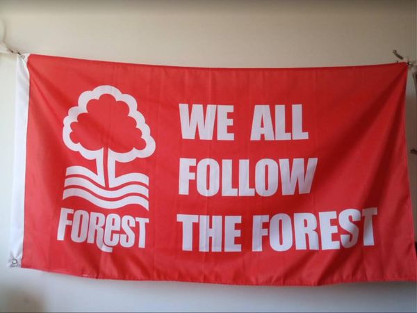 

Ноттингем Форест ФК Флаг 90 х 150 см Полиэстер Англия Футбольный клуб Спорт Баннер