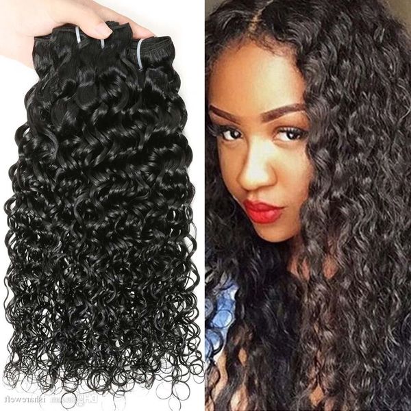 Ishare 7a Water Wave Hair Curly Weave Remy Indian Virgin Hair Wet