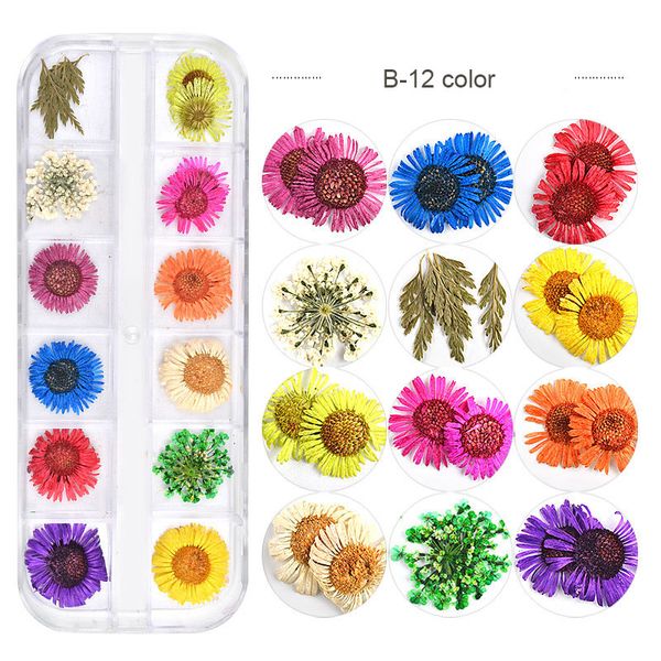 

nail art decoration 12 colors/box dry flower small daisy starry sky natural plant 3d floral slices decal nail art sticker mz047, Silver;gold
