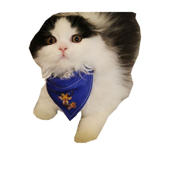 

elk navy blue bandana for small medium dog pet neck scarf christmas puppy chihuahua dogs chat cats kitten accessories pets cloth medium dogs