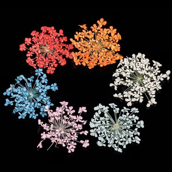 

12 color/box nail art nature dry flowers gel polish tip 3d diy floral potpourri slices decal pro manicure pedicure decor kit, Silver;gold