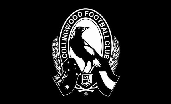 

Collingwood football club flag 90 150cm 100 polye ter banner digital printing