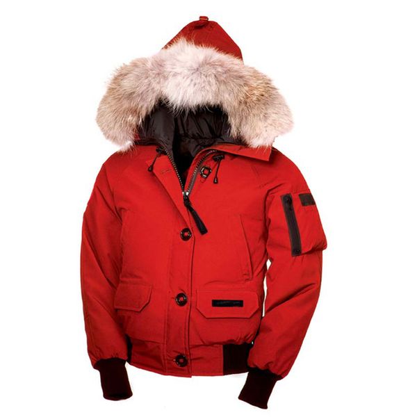 

xs-2xl бесплатная доставка женщины высокое качество зима белый гусь вниз куртка бомбардировщик куртка открытый восхождение вниз куртка женск, Black