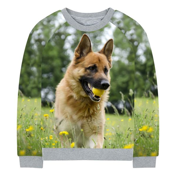 

boy jacket baby girl coat spring/autumn fashion jackets coats print a dog in a flower bush kids outerwear children clothing, Blue;gray