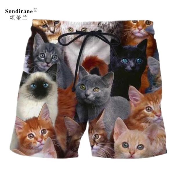 Acheter Sondirane Nouveau Mode Hommes Classique Animal Chat Drôle 3d Imprimer Shorts Dété à Séchage Rapide Shorts De Plage Hommes Taille élastique