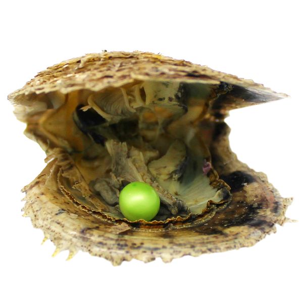 

6-7mm color #13 vacuum packaging akoya pearl oyster salt many colors spot wholesale