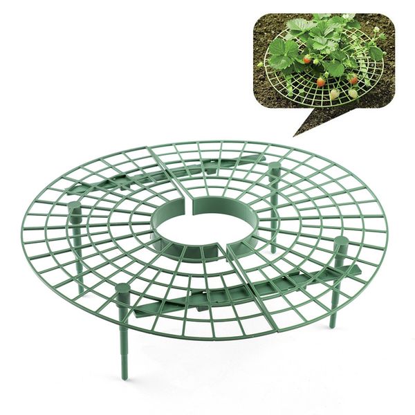 

Клубника поддержки растений 30 см * 9,5 см поддерживает рост плодов во избежание гни