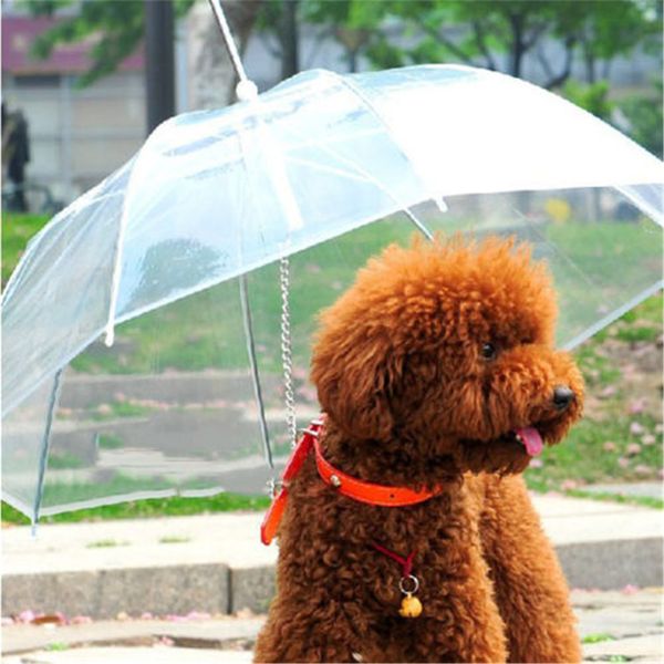 

new transparent pet dog cat umbrella with built-in leash portable puppy dry in rain