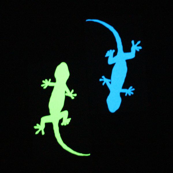 Luminous Gecko Home Decor Glow In The Dark Wall Gecko Fluorescent