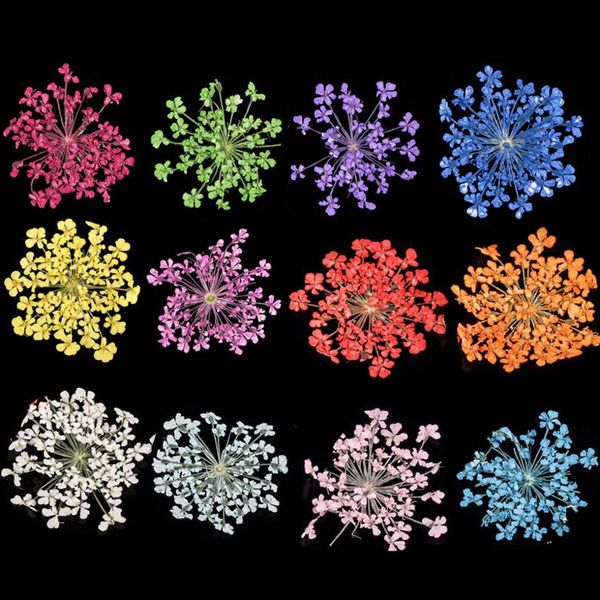 

12 color/box nature dry flowers kit diy floral potpourri slices decal pro manicure pedicure decor kit nail art gel polish accs, Silver;gold