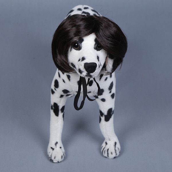 2018 Pop Pet Headdress Wig Dog Hair Accessories Short Straight Hair