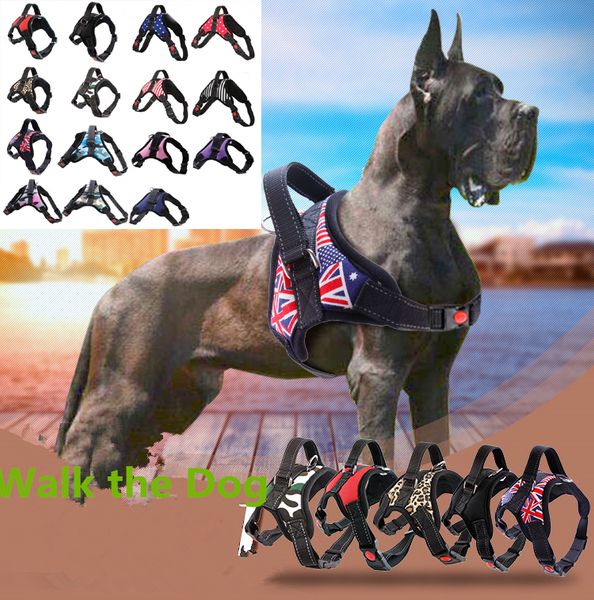 

Coleiras & Trelas para Cães qwonly_shop