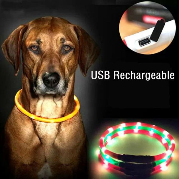 Einstellbare USB-Aufladung, fluoreszierende LED, leuchtende Hundehalsbänder, Heimtierbedarf, blinkendes Halsband, Sicherheitsaufladung, Blitz, Hundespielzeug