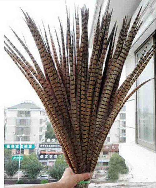 

Decoração de Festa feather2018