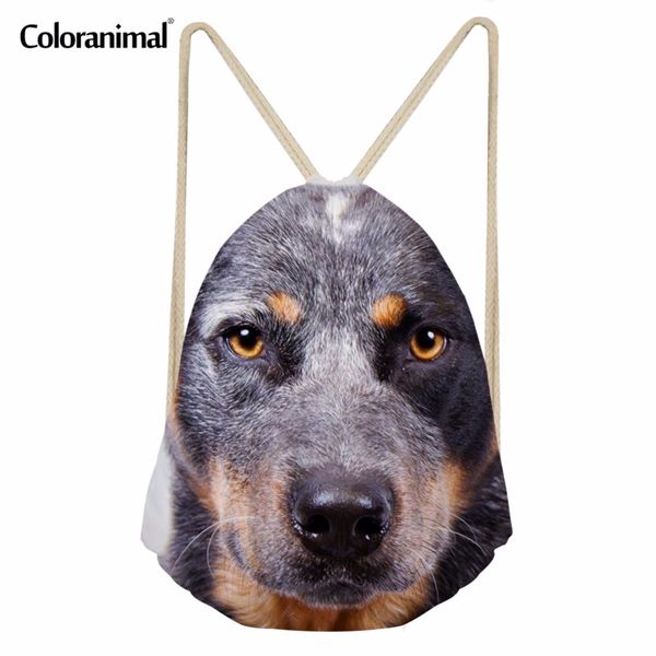 

coloranimal mini light reusable travel beach drawstring bag cute pet dog cattle dog pattern women men backpack school bookbags