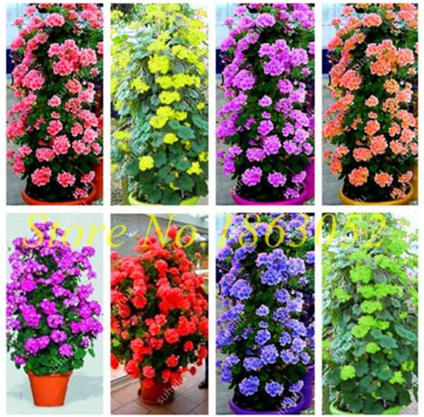 

Outros Acessórios Jardim ymhzpy