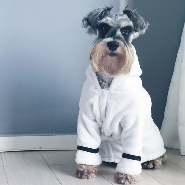 

Roupas para Cães petdogddy