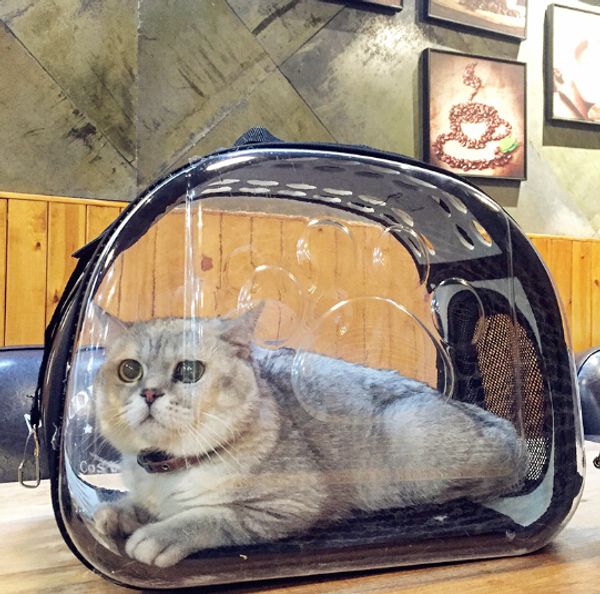 

cat bag transparent pet dog carrier bag folding portable cat carrier small dog travel bag 42*36*35cm